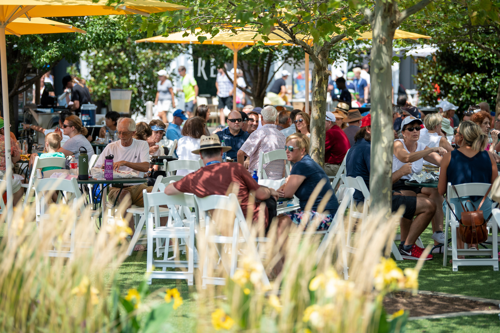 people seated outdoors at dining tables