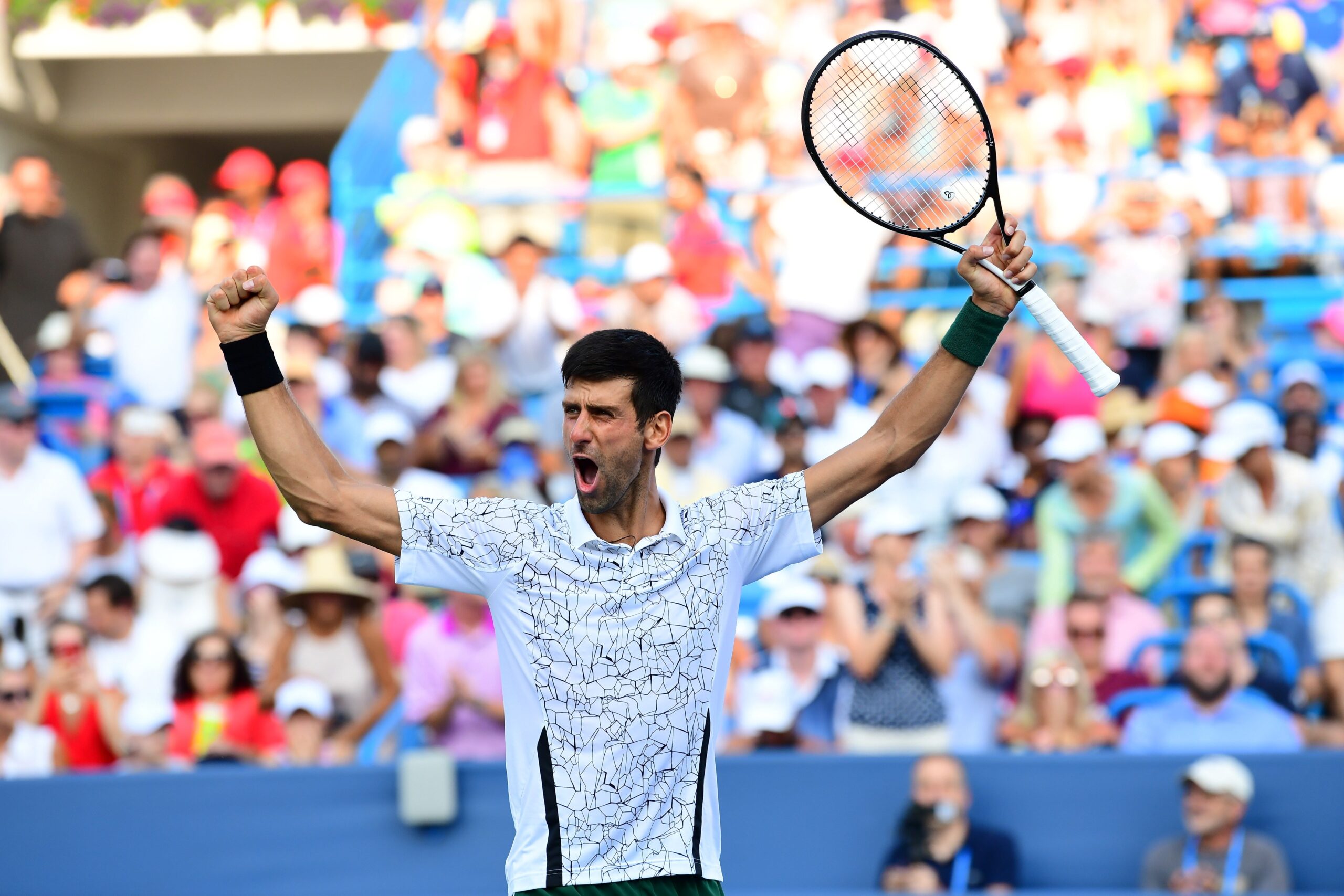 Novak Djokovic celebrates in front of a crowd