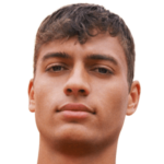 Flavio-Cobolli