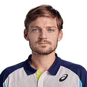 David-Goffin